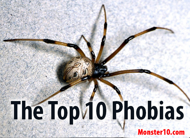 top phobias
